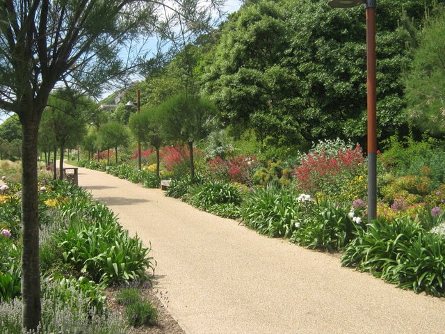 Flower Borders in Lower Leas Country Park